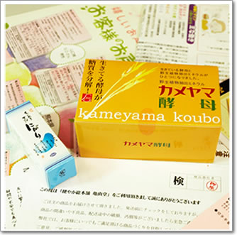 カメヤマ酵母写真