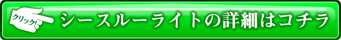 シースルーライト公式サイト